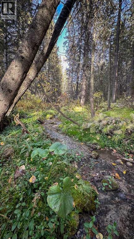 23, 5227 Township Road 320, Rural Mountain View County, Alberta  T0M 1X0 - Photo 31 - A2263749