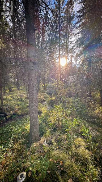 23, 5227 Township Road 320, Rural Mountain View County, Alberta  T0M 1X0 - Photo 29 - A2263749