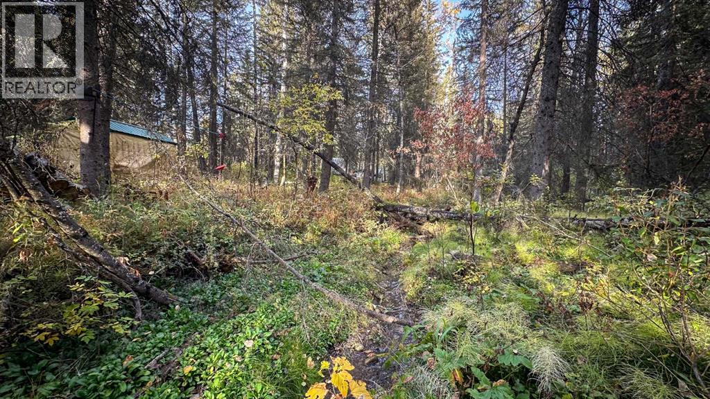 23, 5227 Township Road 320, Rural Mountain View County, Alberta  T0M 1X0 - Photo 34 - A2263749