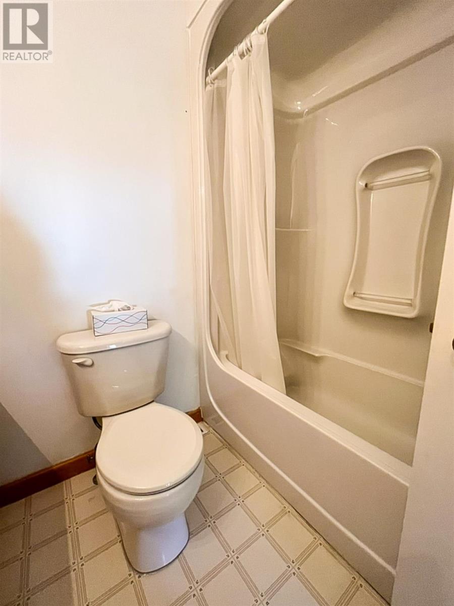 157 East Balfour St, Sault Ste. Marie, Ontario  P6C 1X7 - Photo 22 - SM252940