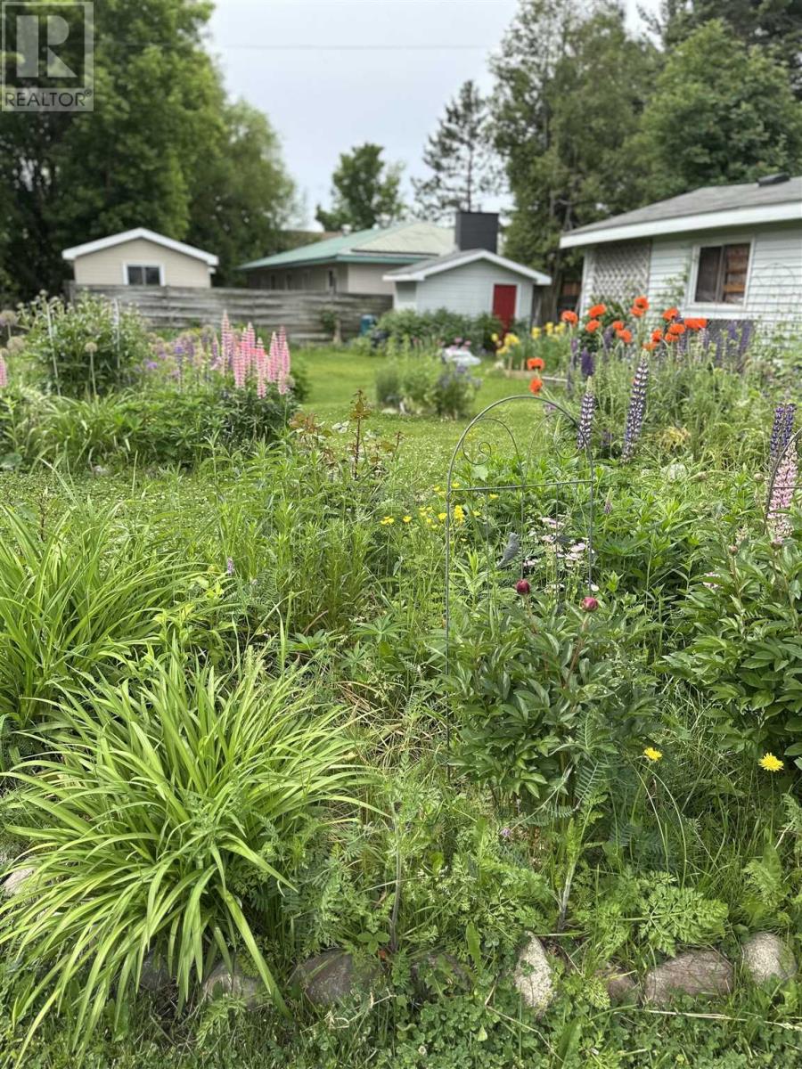 157 East Balfour St, Sault Ste. Marie, Ontario  P6C 1X7 - Photo 41 - SM252940