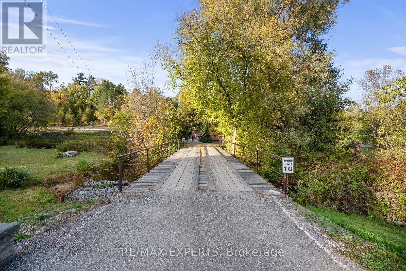 2821 Mt Albert Road, East Gwillimbury, Ontario  L0G 1R0 - Photo 11 - N12462027
