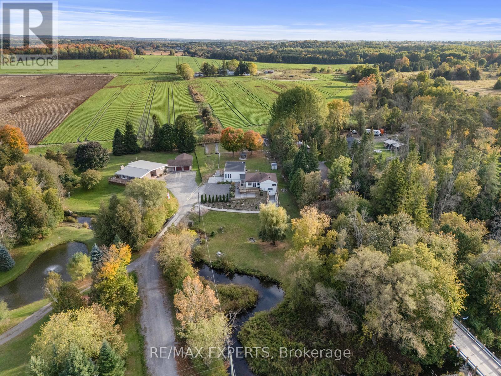 2821 Mt Albert Road, East Gwillimbury, Ontario  L0G 1R0 - Photo 5 - N12462027