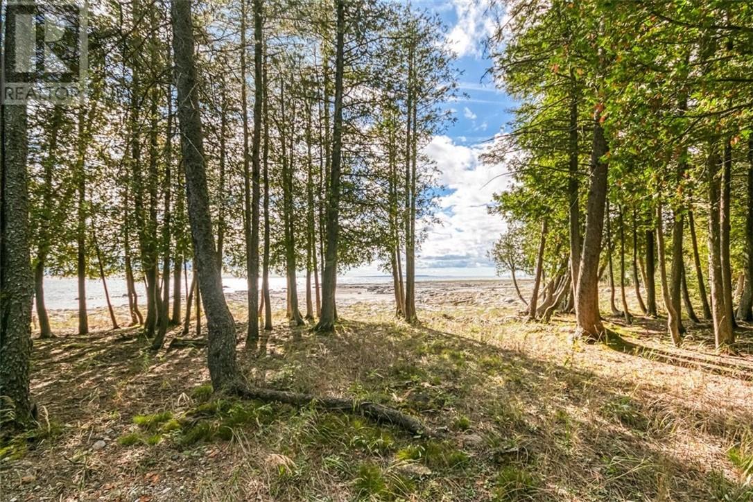 412 Cedar Tree Trail, Manitoulin Island, Ontario  P0P 1Y0 - Photo 19 - 2125205