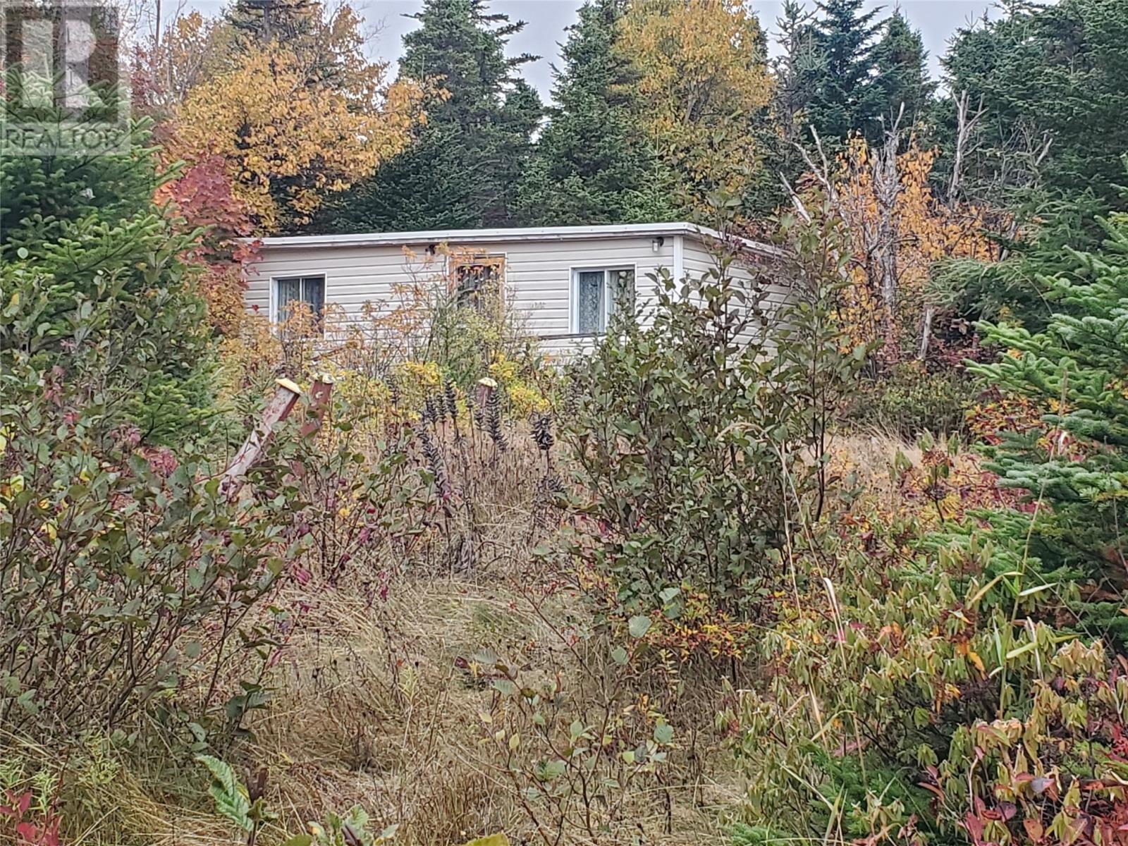 0 Old Witless Bay Line, Holyrood, Newfoundland & Labrador  A0A 2R0 - Photo 3 - 1291552