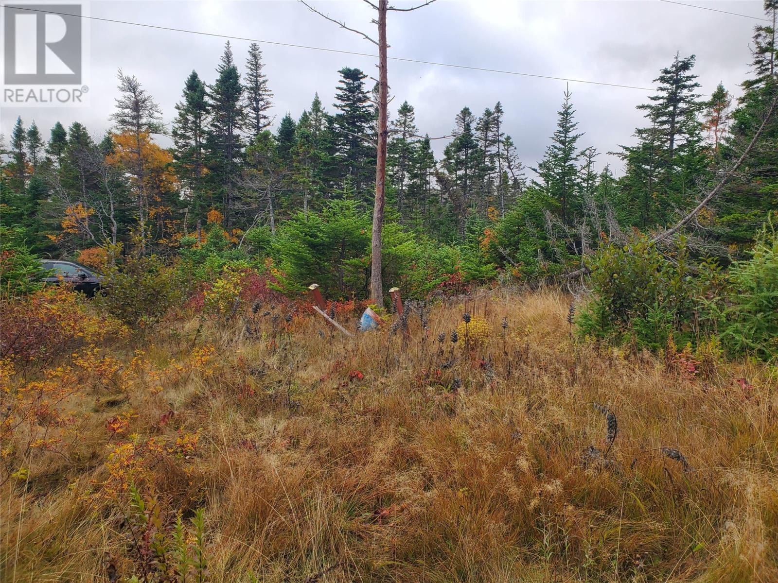 0 Old Witless Bay Line, Holyrood, Newfoundland & Labrador  A0A 2R0 - Photo 5 - 1291552