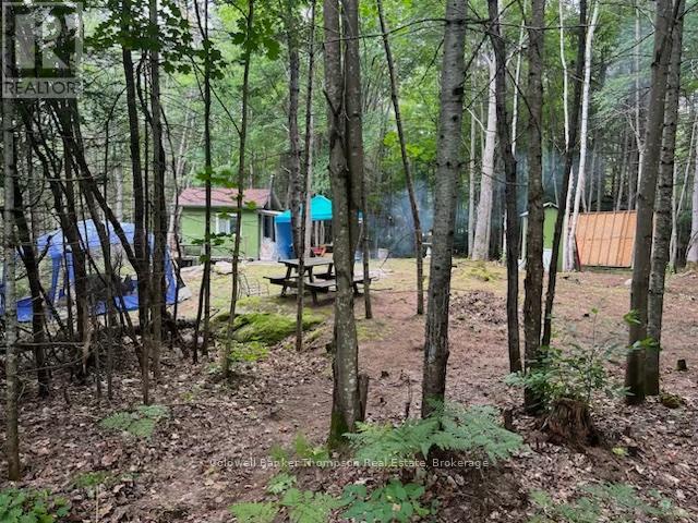 2613 Stisted Road S, Mcmurrich/monteith, Ontario  P0A 1Y0 - Photo 3 - X12344726