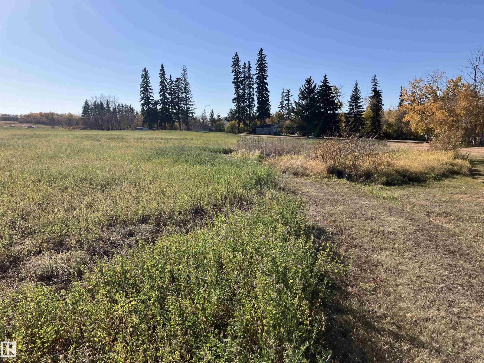N/a 46 Av, Rural Lamont County, Alberta  T8L 2T2 - Photo 3 - E4460174