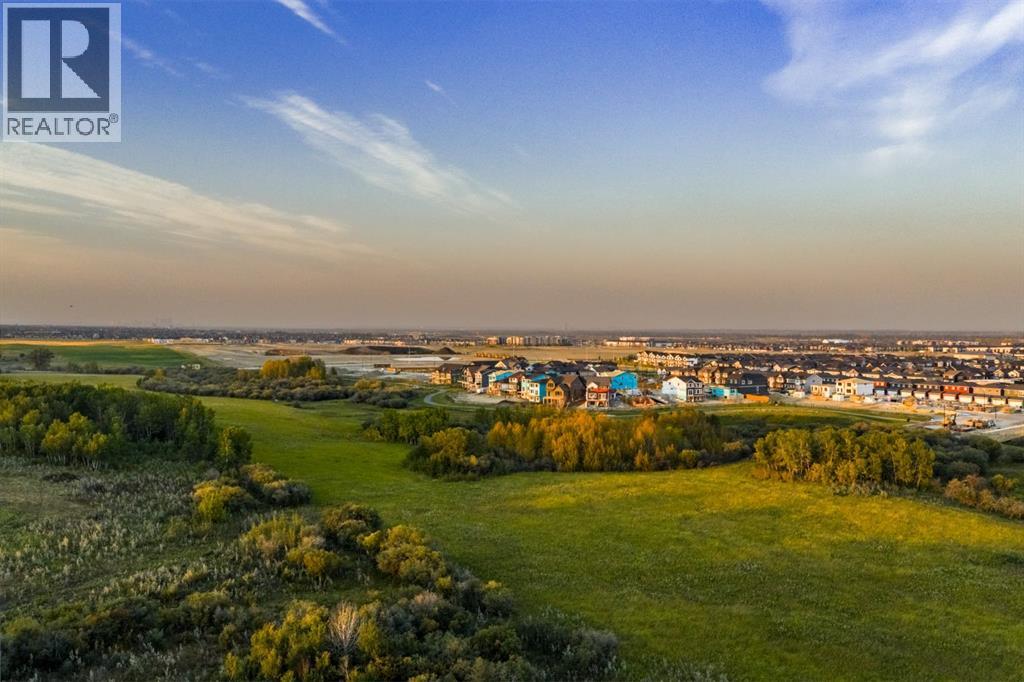 80 Creekside Path Sw, Calgary, Alberta  T2X 0G7 - Photo 49 - A2257842