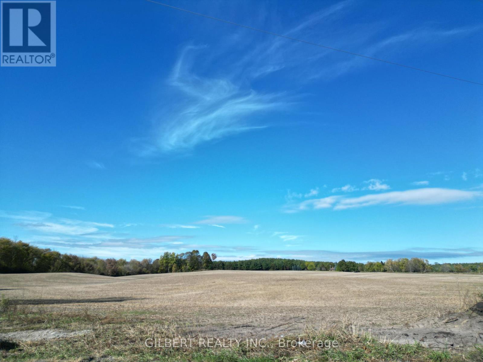 4176 Adjal-Tecum Tline Townline, Adjala-Tosorontio, Ontario  L9R 1V4 - Photo 15 - N12462266