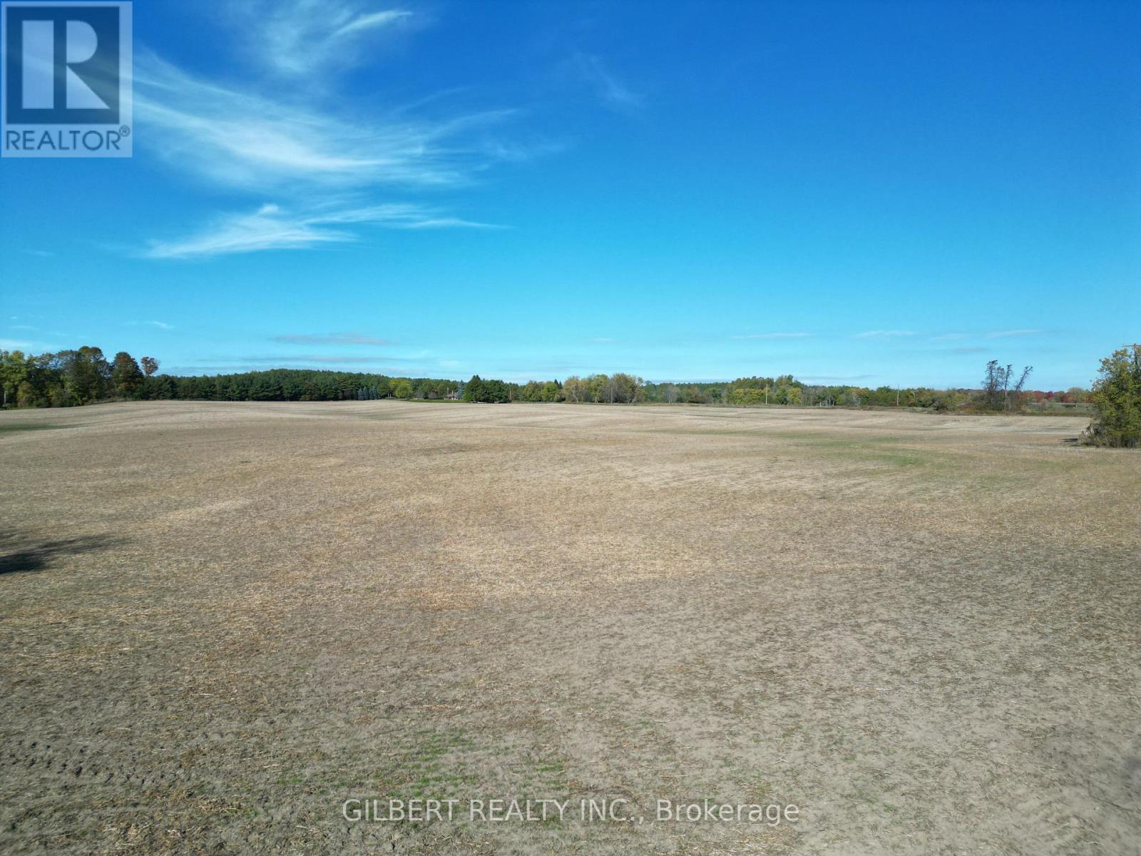 4176 Adjal-Tecum Tline Townline, Adjala-Tosorontio, Ontario  L9R 1V4 - Photo 3 - N12462266