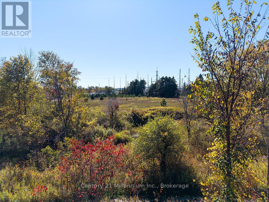 204 Lia Drive, Clearview, Ontario  L0M 1S0 - Photo 37 - S12462424