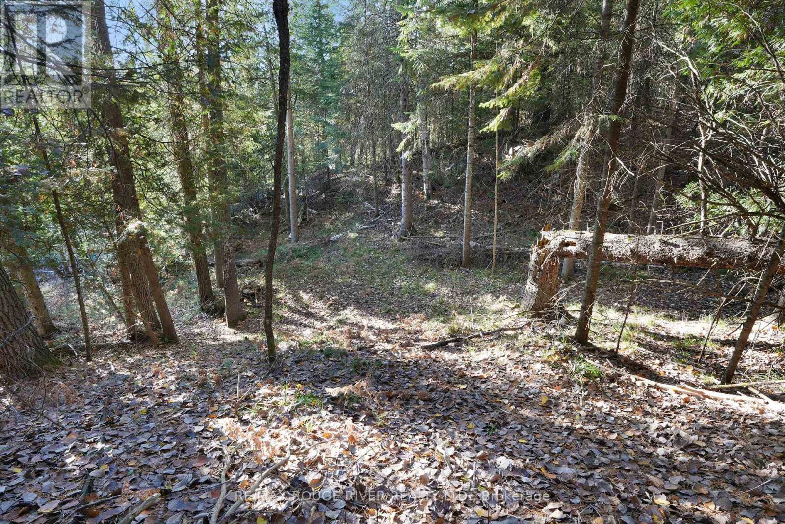 23 Egan Lane, Bancroft, Ontario  K0L 2L0 - Photo 32 - X12462256