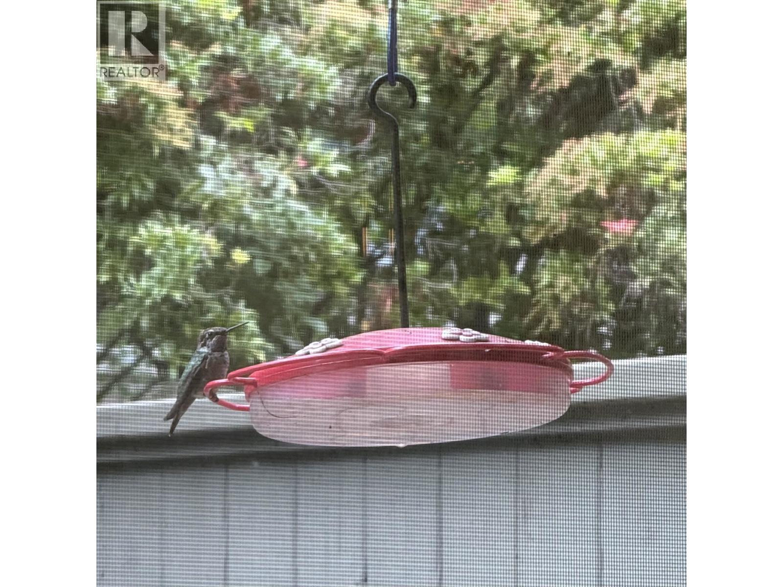 149 1495 Lansdowne Drive, Coquitlam, British Columbia  V3E 2X4 - Photo 32 - R3058526