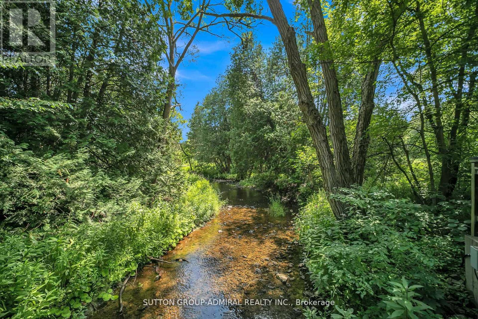 19246 Warden Avenue, East Gwillimbury, Ontario  L0G 1R0 - Photo 42 - N12462359