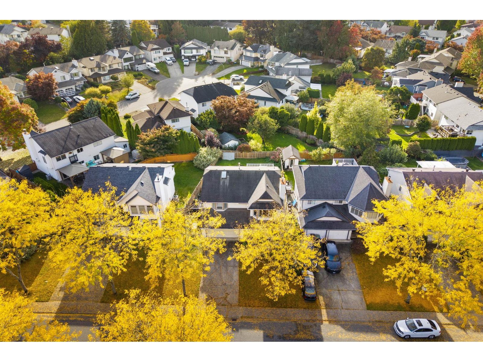 8895 214b Street, Langley, British Columbia  V1M 1Y3 - Photo 37 - R3057756