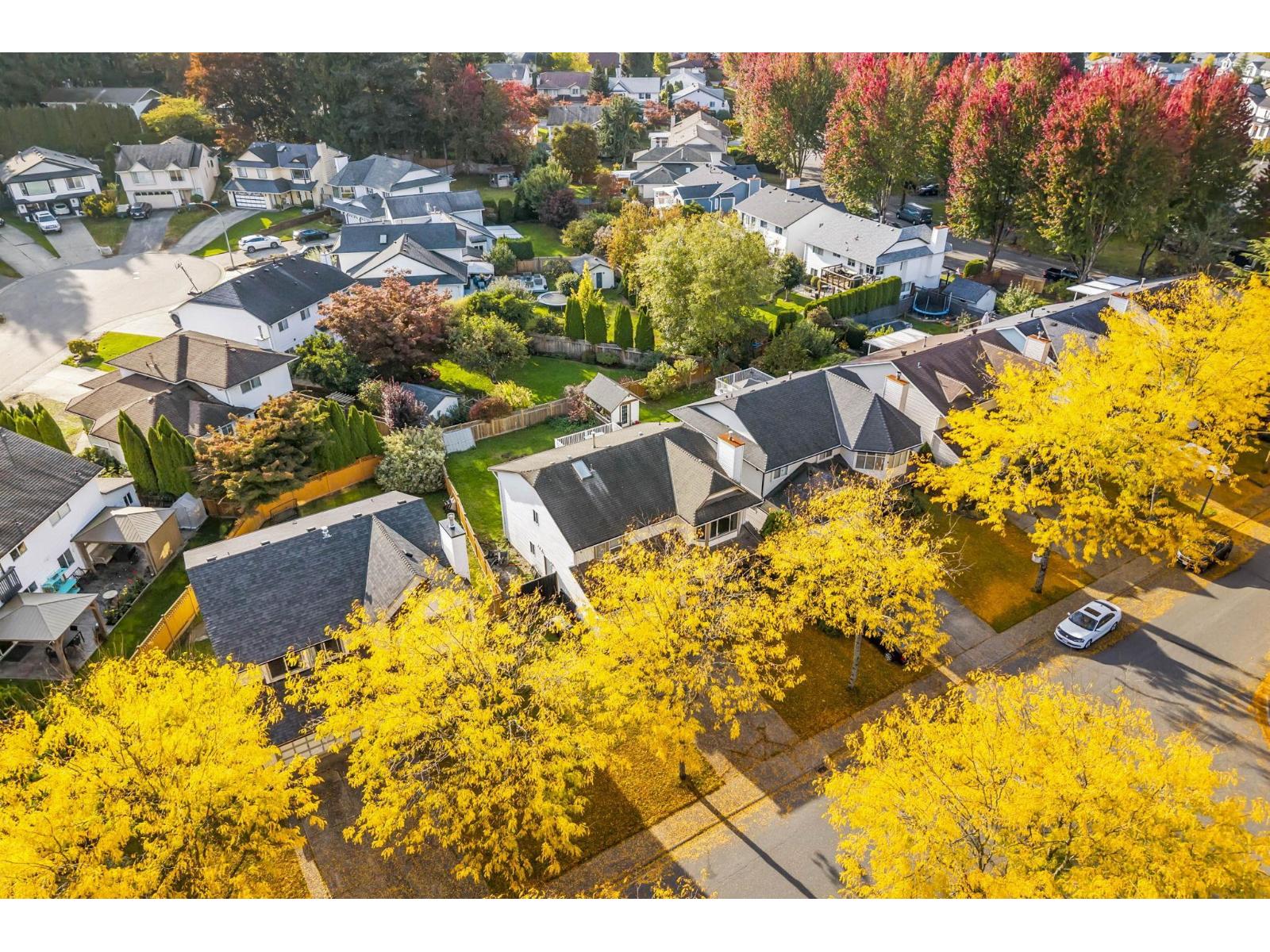 8895 214b Street, Langley, British Columbia  V1M 1Y3 - Photo 38 - R3057756