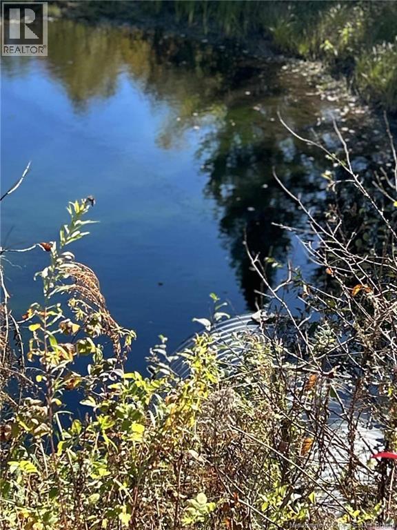 00 Taxis River Road, Taxis River, New Brunswick  E6A 1A7 - Photo 2 - NB128530