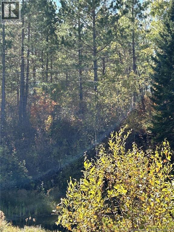 00 Taxis River Road, Taxis River, New Brunswick  E6A 1A7 - Photo 6 - NB128530