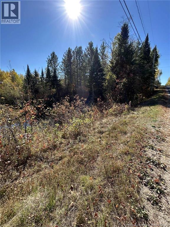 00 Taxis River Road, Taxis River, New Brunswick  E6A 1A7 - Photo 7 - NB128530