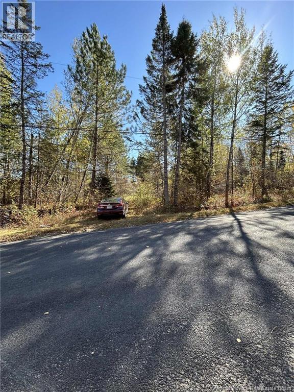 00 Taxis River Road, Taxis River, New Brunswick  E6A 1A7 - Photo 9 - NB128530
