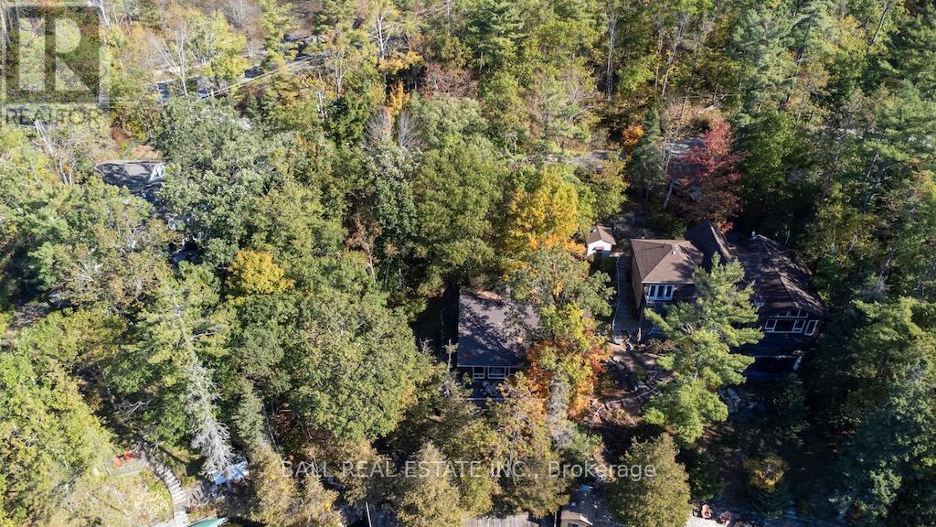 12 Bedwell Drive, North Kawartha, Ontario  K0L 3E0 - Photo 5 - X12459775
