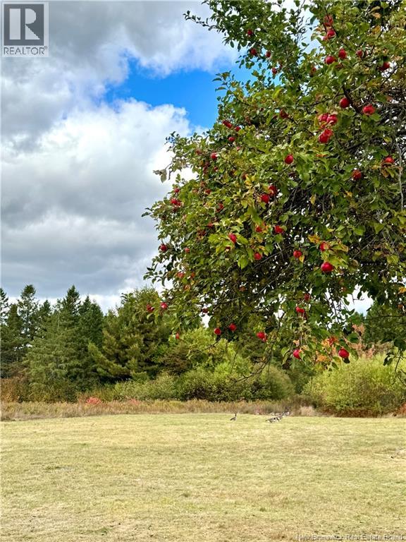 1875 King George Hwy, Miramichi, New Brunswick  E1V 5L8 - Photo 50 - NB126300