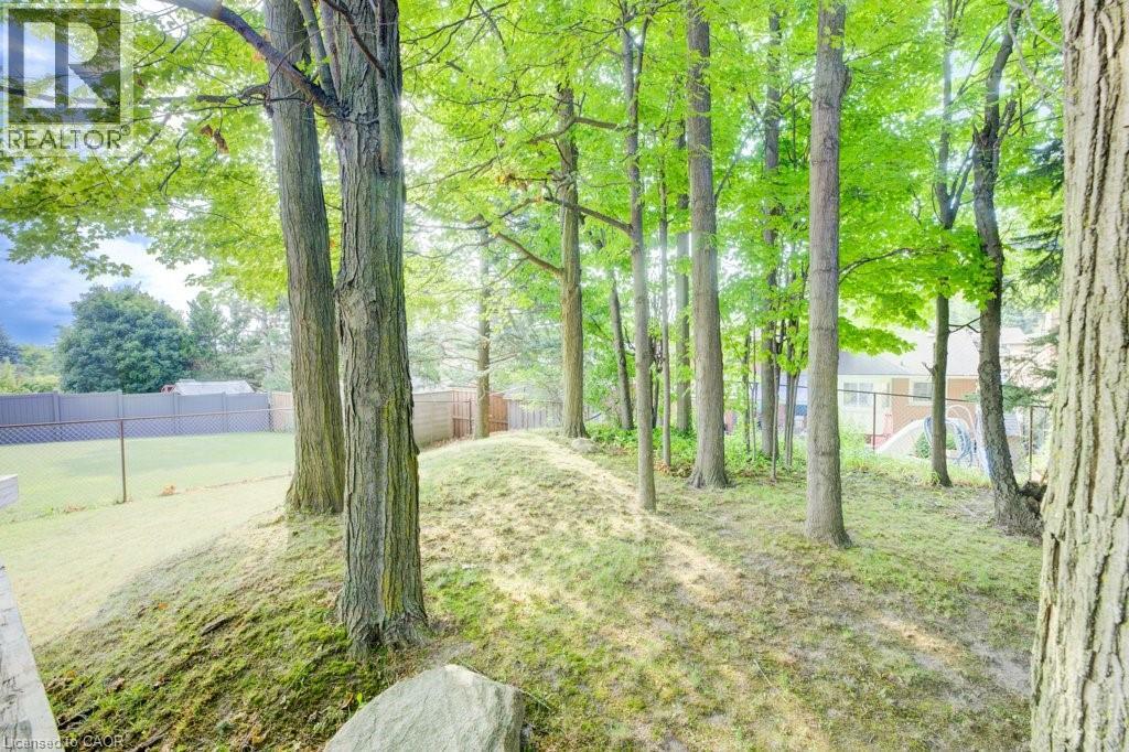 71 Ripley Crescent, Kitchener, Ontario  N2N 1W2 - Photo 31 - 40755148