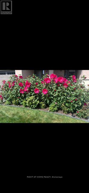 229 Purchase Crescent, Ottawa, Ontario  K2S 2L7 - Photo 29 - X12462788