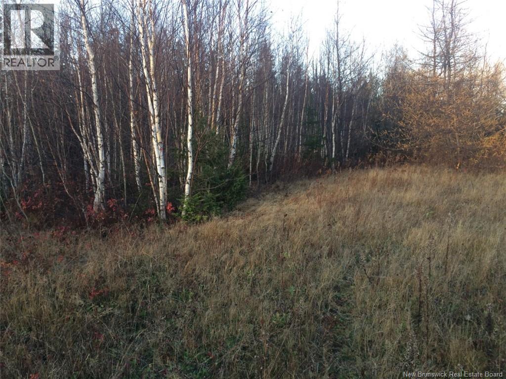 9,110 Mc Rue Honoré, Tracadie, New Brunswick  E1X 1A6 - Photo 3 - NB128564