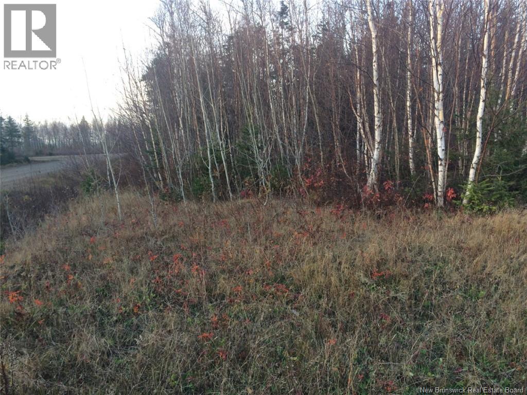 9,110 Mc Rue Honoré, Tracadie, New Brunswick  E1X 1A6 - Photo 4 - NB128564