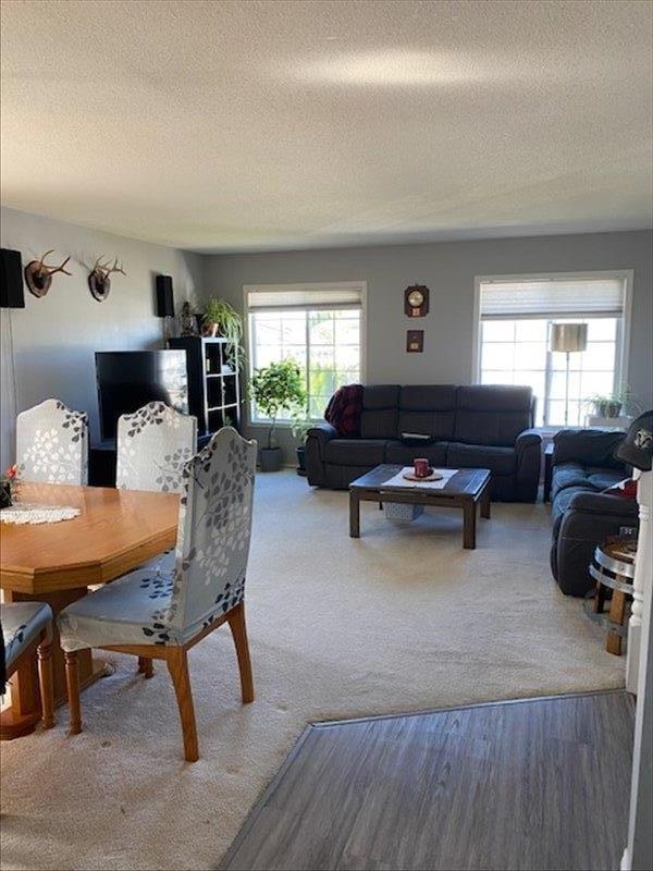 3236 Mallard Street, Abbotsford, British Columbia  V2T 5J5 - Photo 37 - R3057534