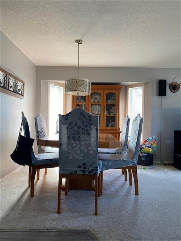 3236 Mallard Street, Abbotsford, British Columbia  V2T 5J5 - Photo 36 - R3057534