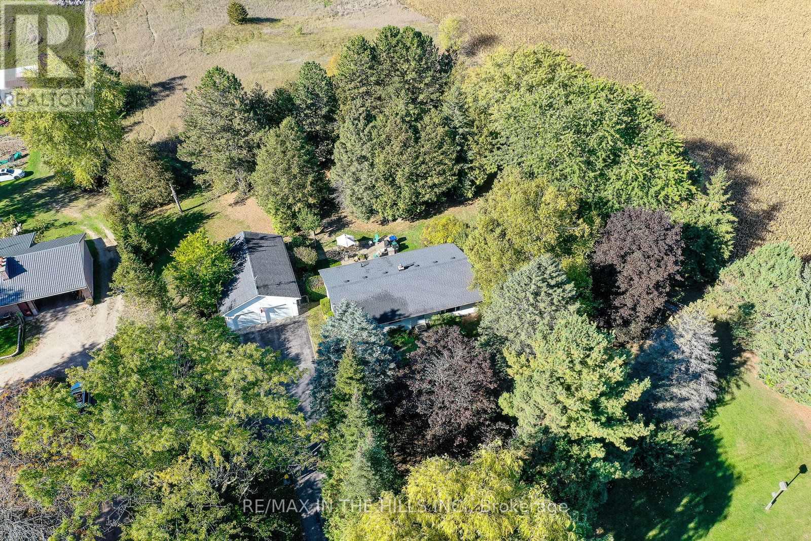 1290 County Rd 50 Road, Adjala-Tosorontio, Ontario  L0N 1P0 - Photo 39 - N12323001