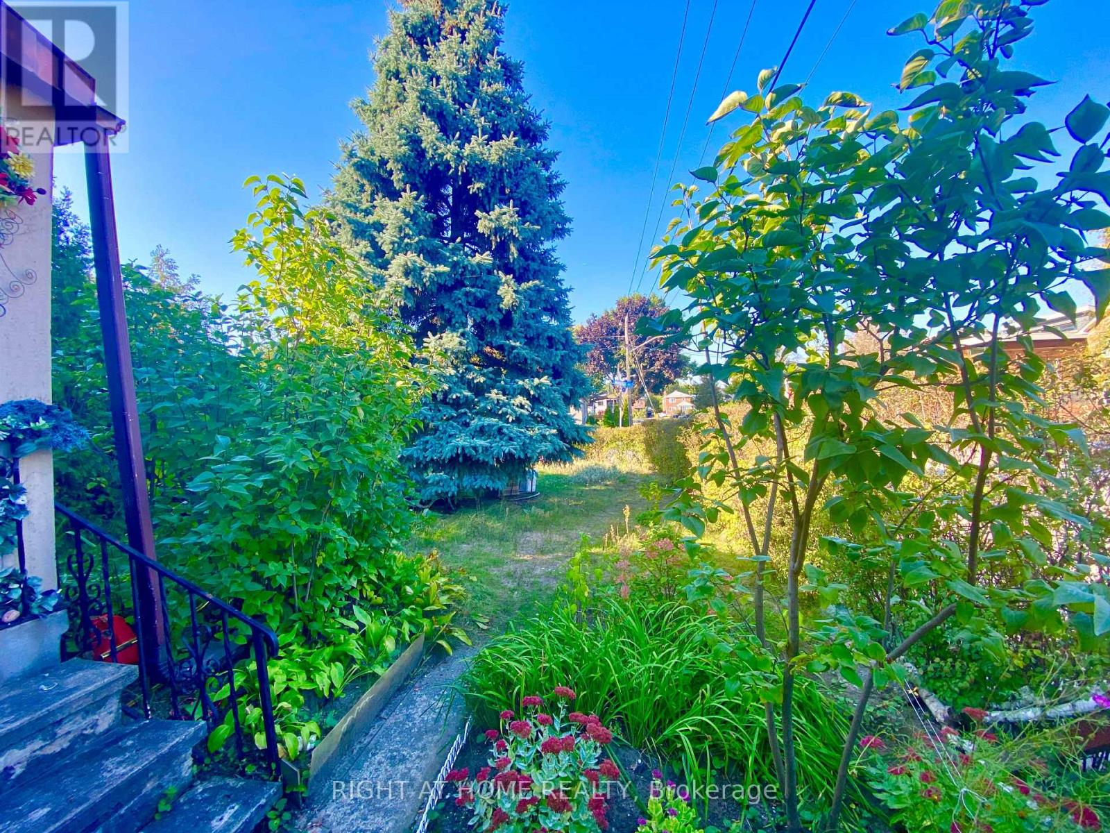 33 Waniska Avenue, Toronto, Ontario  M8Y 1R1 - Photo 13 - W12452103