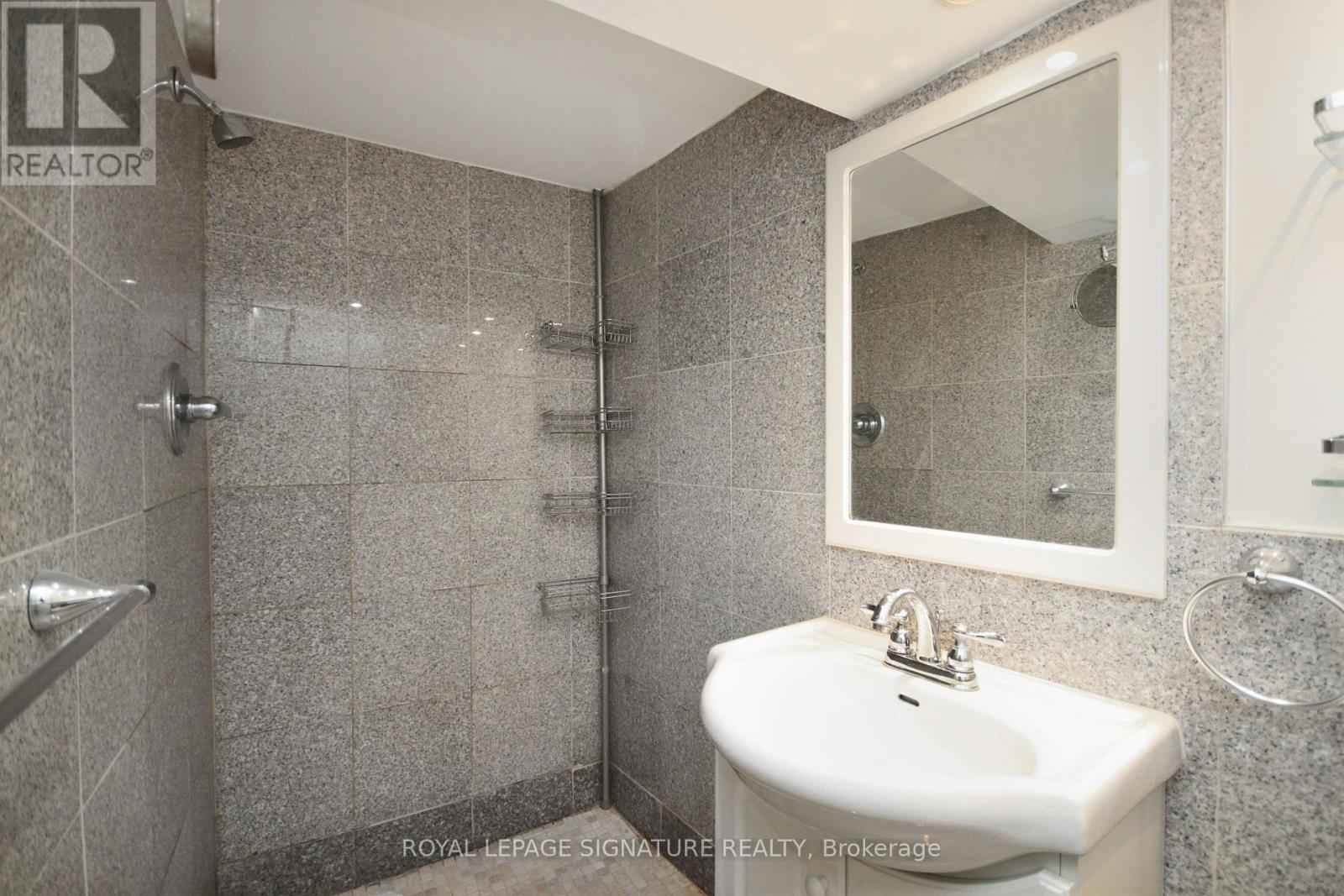 Basement - 173 Cottonwood Drive, Toronto, Ontario  M3C 2B3 - Photo 13 - C12462864