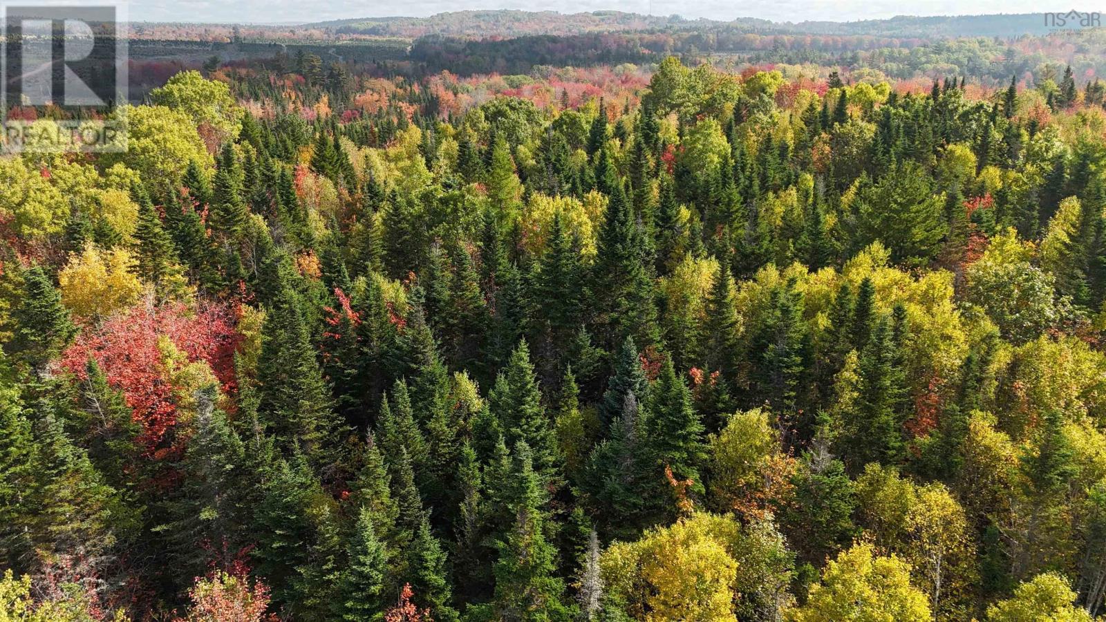 Lot Chesley Road, Barss Corner, Nova Scotia  B0R 1A0 - Photo 12 - 202525857