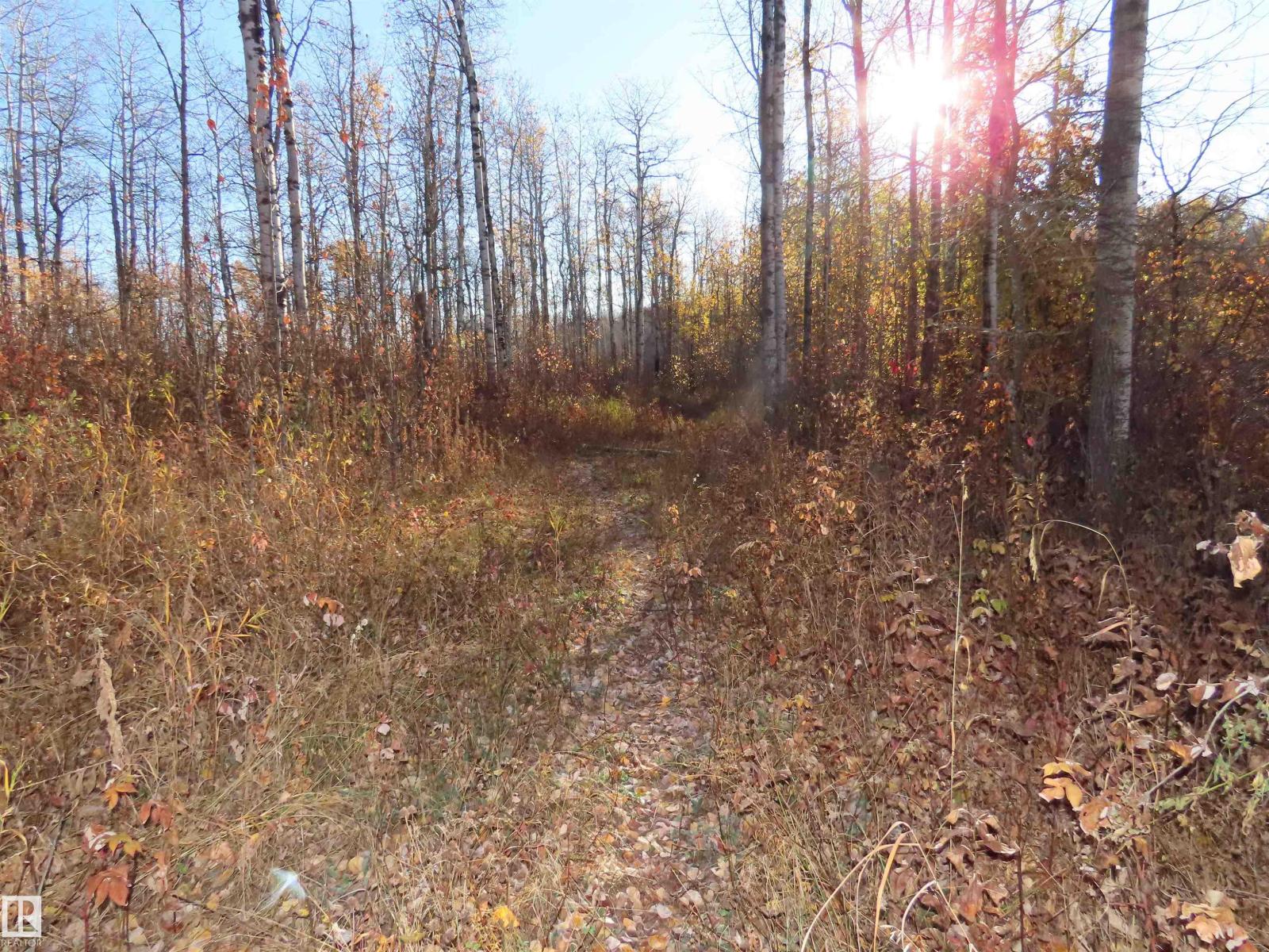 54425 Ste Anne Trail, Rural Lac Ste. Anne County, Alberta  T0E 1V0 - Photo 10 - E4462131