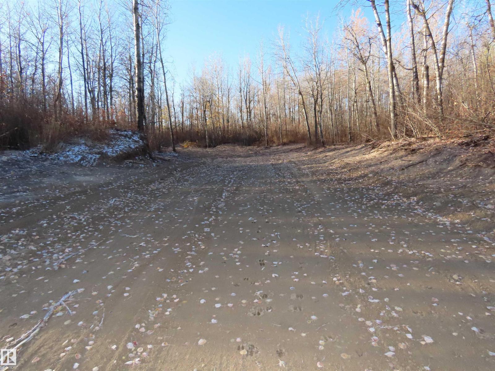 54425 Ste Anne Trail, Rural Lac Ste. Anne County, Alberta  T0E 1V0 - Photo 13 - E4462131