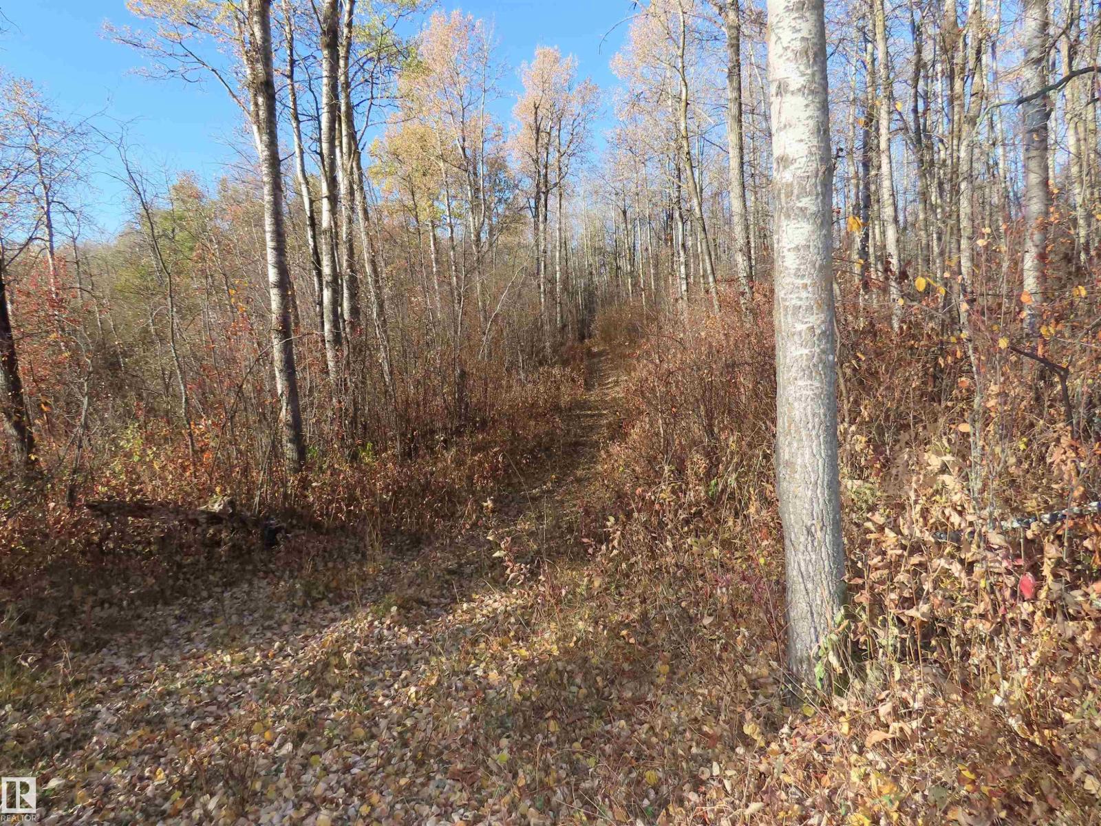 54425 Ste Anne Trail, Rural Lac Ste. Anne County, Alberta  T0E 1V0 - Photo 16 - E4462131