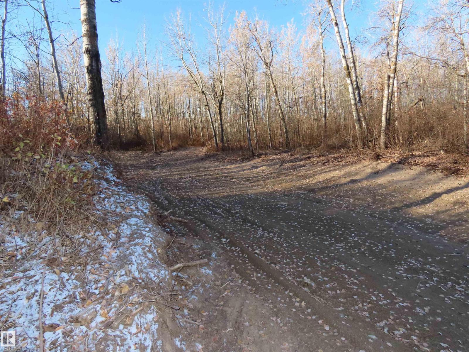 54425 Ste Anne Trail, Rural Lac Ste. Anne County, Alberta  T0E 1V0 - Photo 19 - E4462131