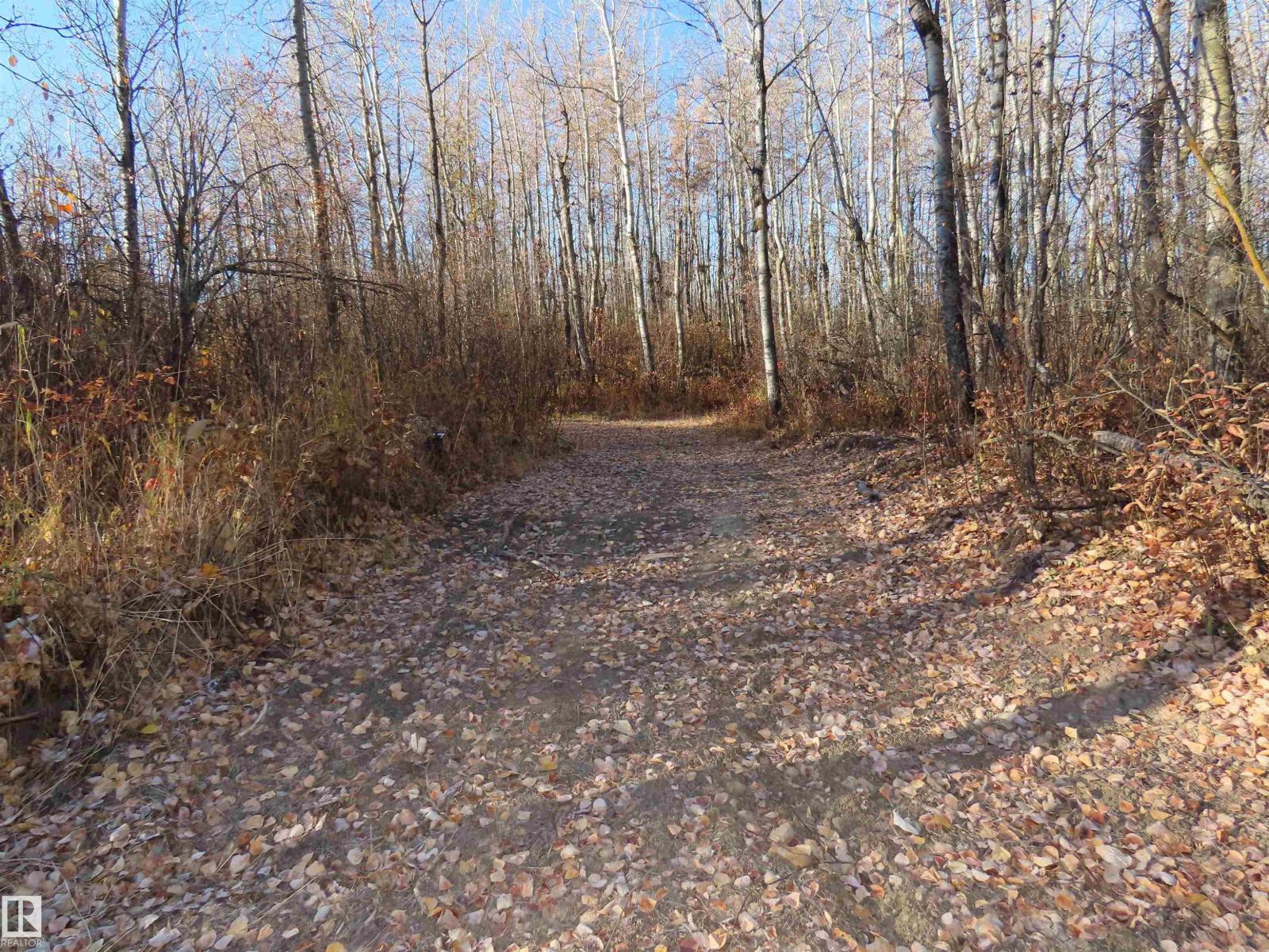 54425 Ste Anne Trail, Rural Lac Ste. Anne County, Alberta  T0E 1V0 - Photo 20 - E4462131