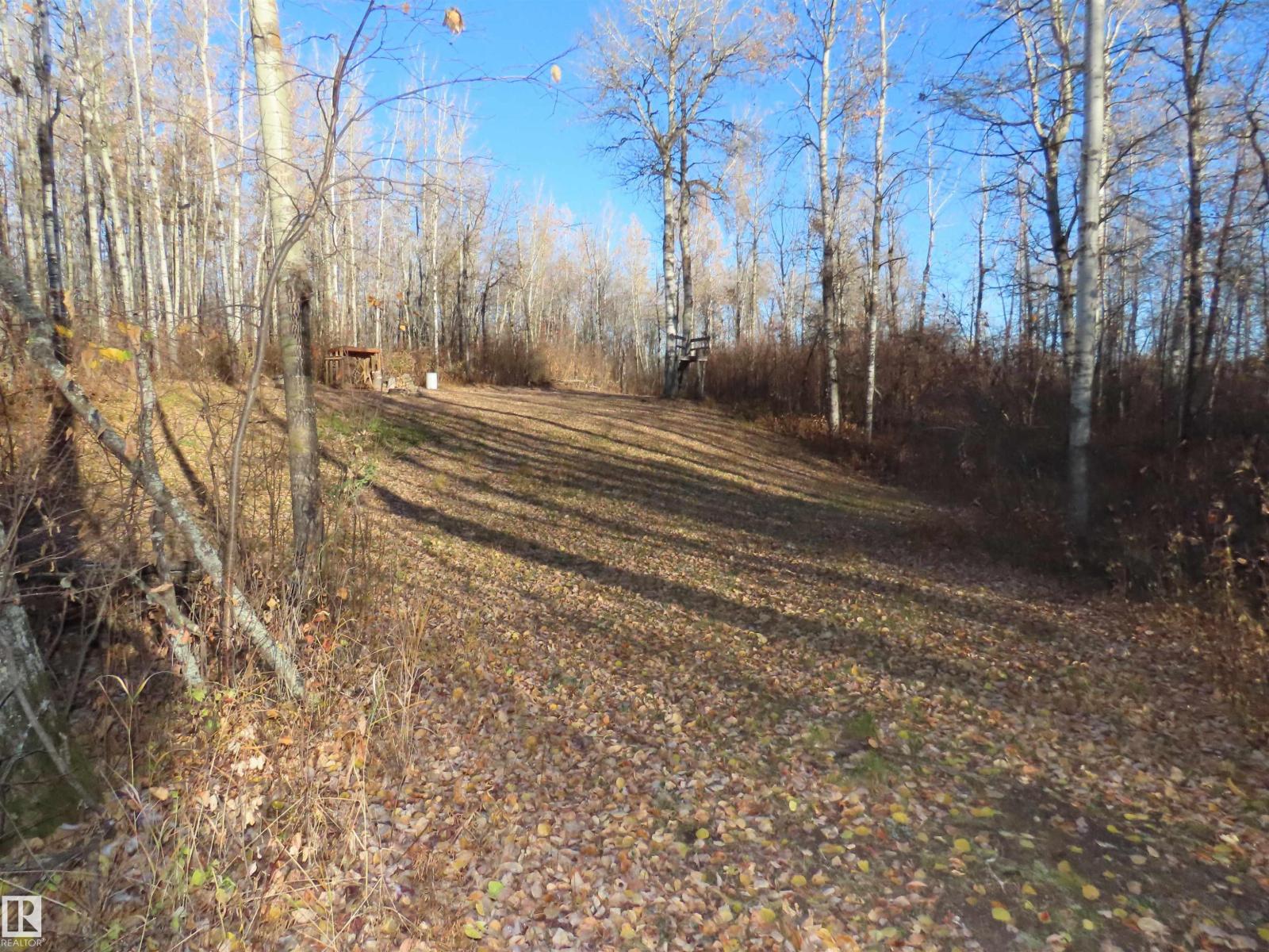 54425 Ste Anne Trail, Rural Lac Ste. Anne County, Alberta  T0E 1V0 - Photo 4 - E4462131