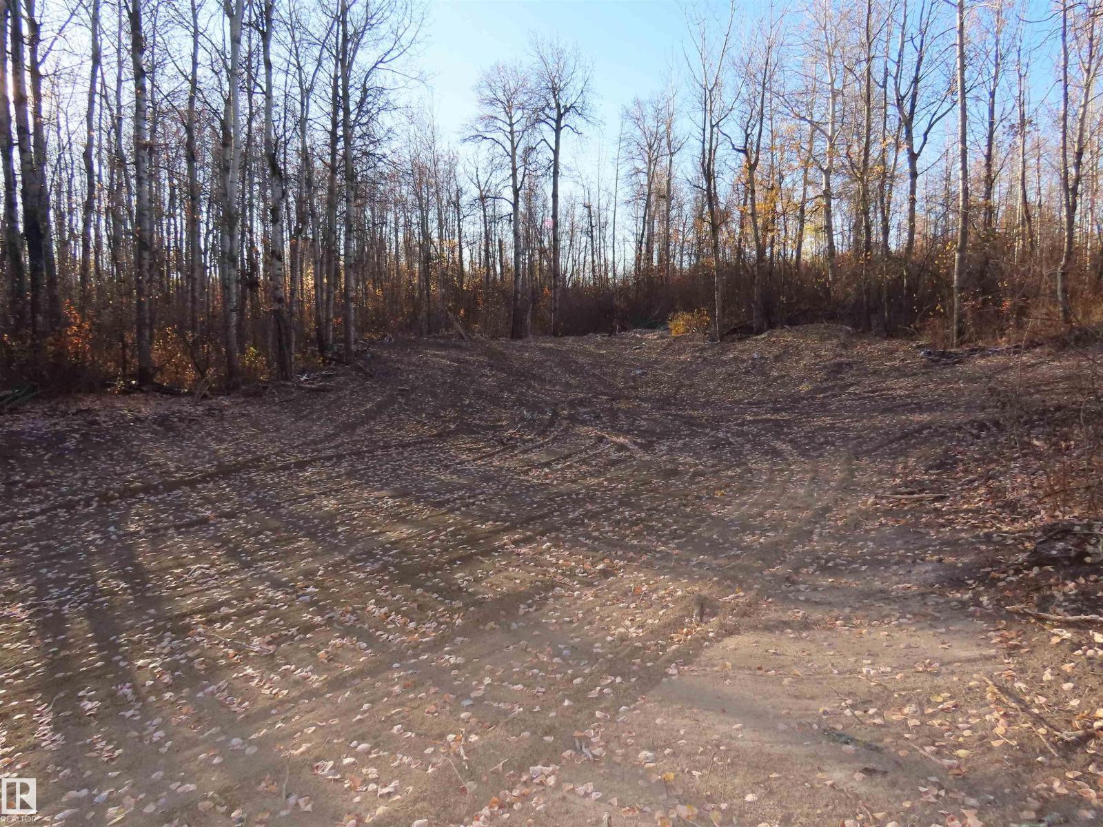 54425 Ste Anne Trail, Rural Lac Ste. Anne County, Alberta  T0E 1V0 - Photo 7 - E4462131
