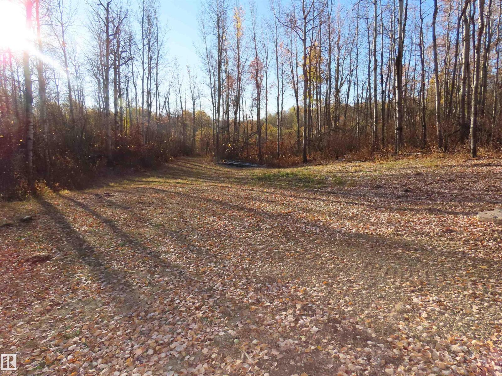 54425 Ste Anne Trail, Rural Lac Ste. Anne County, Alberta  T0E 1V0 - Photo 9 - E4462131