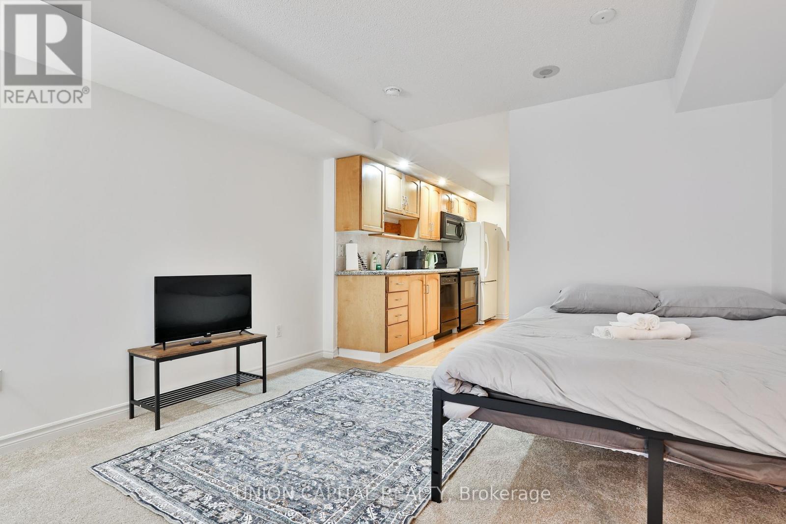 222 - 270 Wellington Street W, Toronto, Ontario  M5V 3P5 - Photo 12 - C12462916