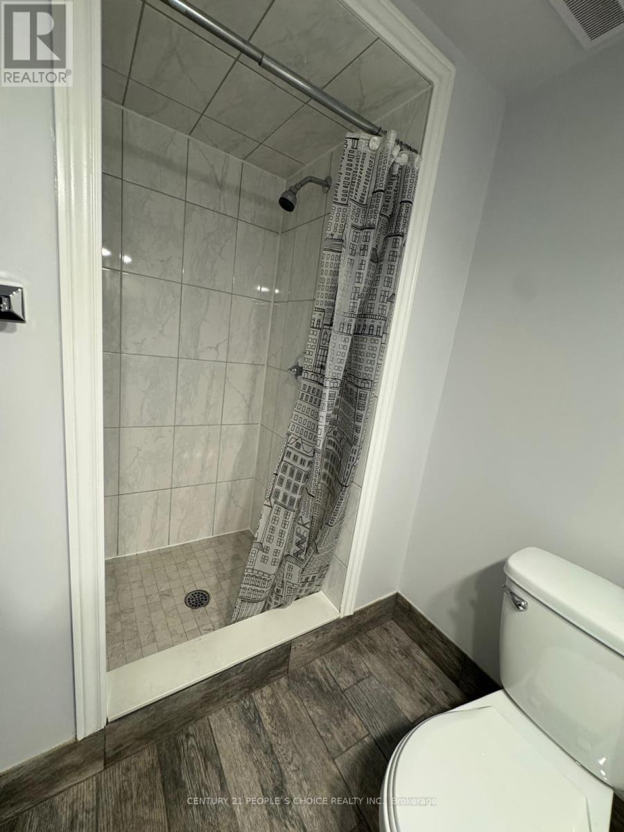 Bsmt - 7179 Terragar Boulevard, Mississauga, Ontario  L5N 7L9 - Photo 13 - W12462890