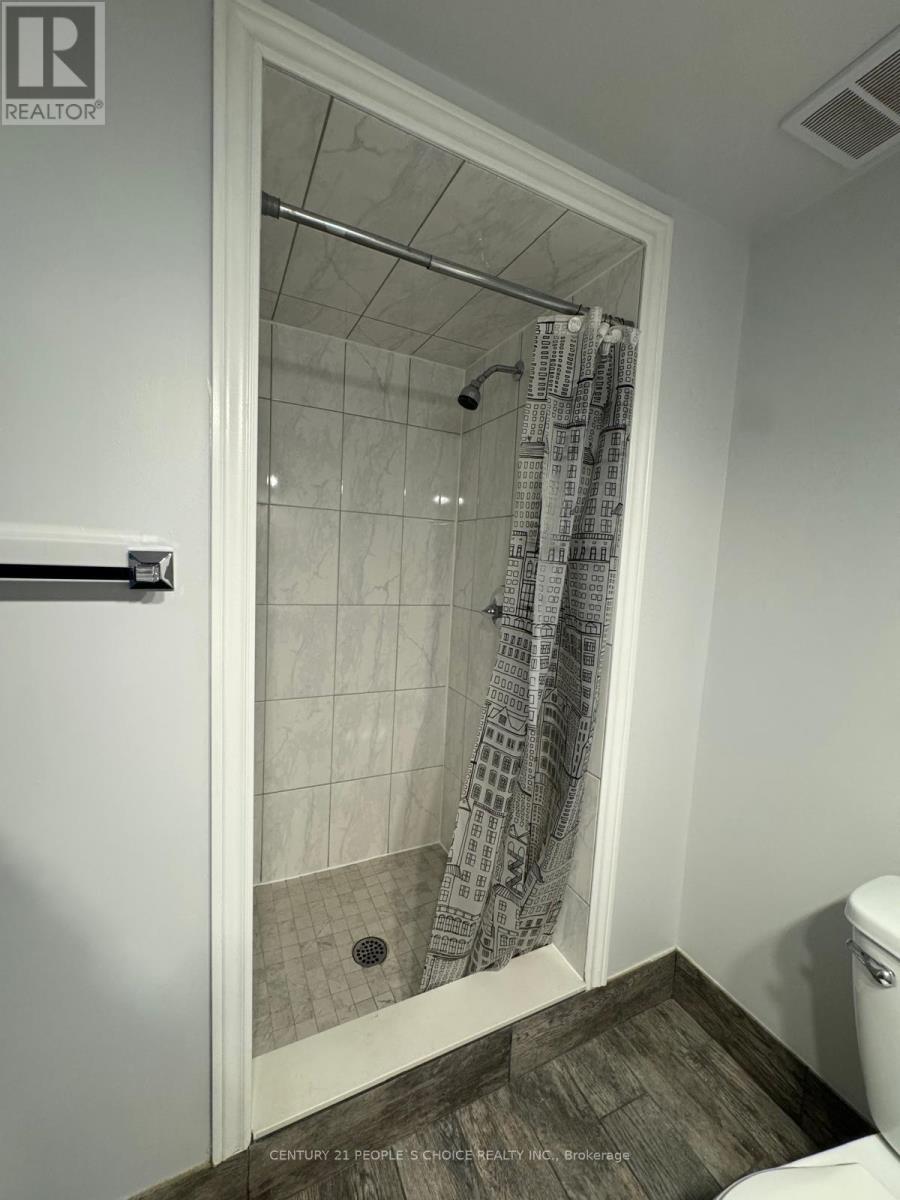 Bsmt - 7179 Terragar Boulevard, Mississauga, Ontario  L5N 7L9 - Photo 14 - W12462890