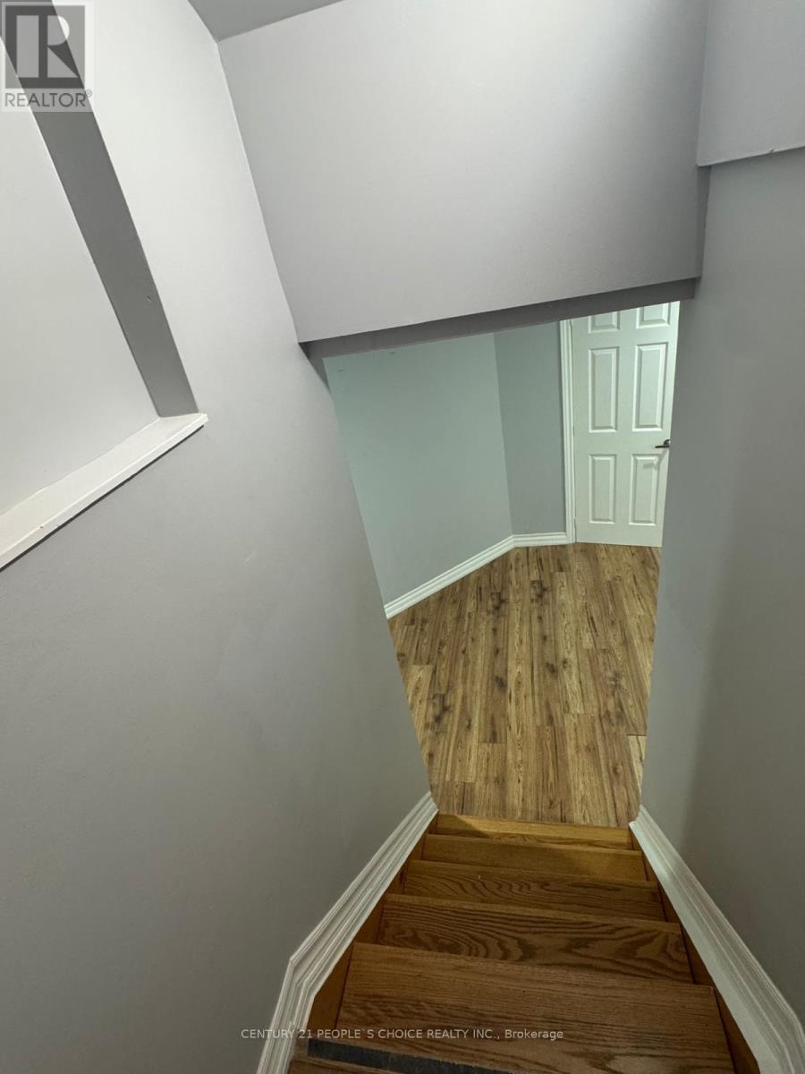 Bsmt - 7179 Terragar Boulevard, Mississauga, Ontario  L5N 7L9 - Photo 5 - W12462890