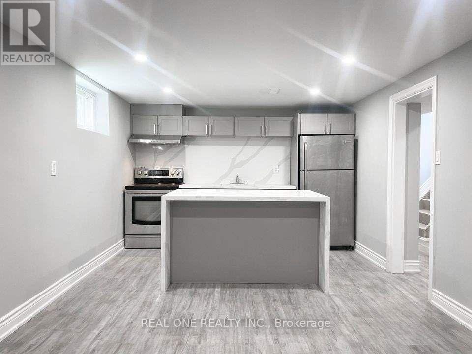 Basement - 99 Warren Avenue, Hamilton, Ontario  L9A 3C7 - Photo 2 - X12462892